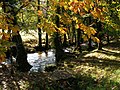 Río Baxoi en Sucamiño.