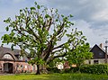 Vorschaubild der Version vom 20:02, 7. Mai 2022