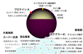 2005年5月31日 (火) 12:08時点における版のサムネイル