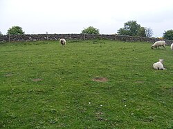 Site of Milecastle 23