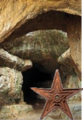 "עיטור הספלאולוגיה": לוויקיפדים שתורמים רבות בנושא ספלאולוגיה ומערות