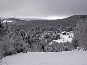 Vue aérienne de la station.