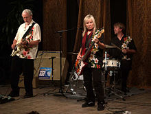 The Surfaris in a concert, 2007