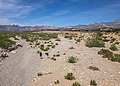 Looking at Red Rock Wash