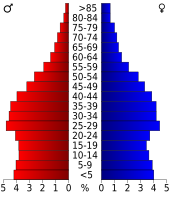 Bevolkingspiramide Dallas County