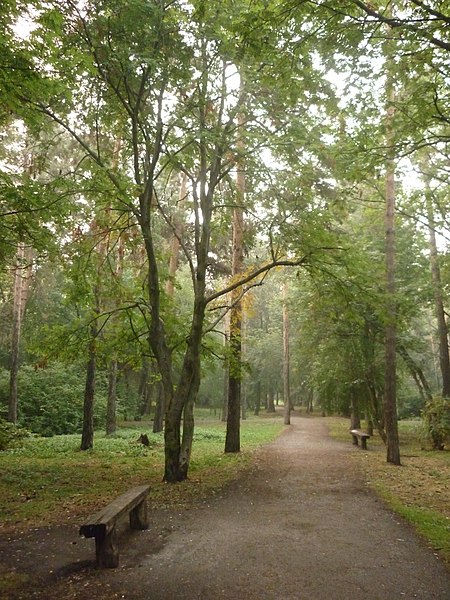 File:Зелёная роща The Golden Bough.jpg