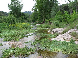 080512 Río Ripoll - Les Arenes 05.jpg