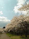 八戸公園のサムネイル