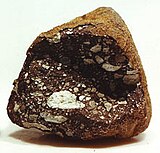 Månmeteoriten Allan Hills 81005.