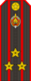 Полиция Беларуси — 04 Знак различия полковника (Gunmetal) .png