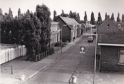 Wilhelminastraat 1982