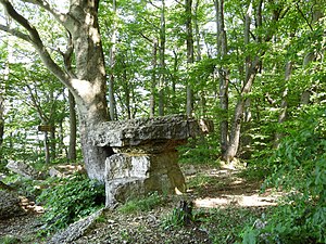 Der Wolfstisch am Premiumwanderweg P4 des Geo-Naturparks Frau-Holle-Land