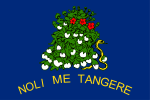 Bandeira do Alabama (7 de novembro de 1861 — 12 de novembro de 1865, reverso)[3]