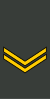 Georgia-Army-OR-5.svg