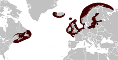 Distribuição geográfica da foca-cinzenta