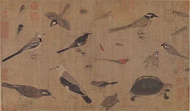 Description of rare animals (Xie Sheng Zhen Qin Tu ), by Song dynasty painter Huang Quan (903-965) Huang-Quan-Xie-sheng-zhen-qin-tu.jpg