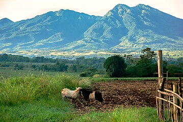 Bundok Kitanglad sa Bukidnon