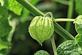 08:35, 3 August 2018ৰ সংস্কৰণৰ ক্ষুদ্ৰ প্ৰতিকৃতি