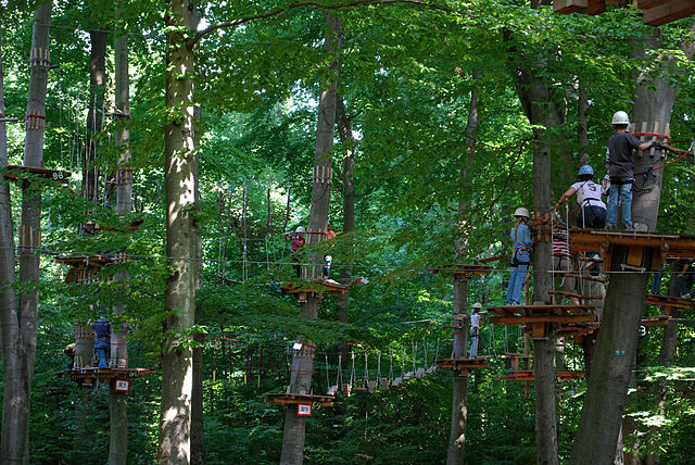 PARQUE DE AVENTURA IRISARRI LAND. NAVARRA (1)