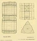 Vignette pour Lithodesmiaceae