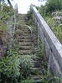 Overgrown staircase