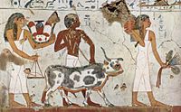Pintura mural de la cámara funeraria de Amenemhet, Imperio Nuevo, dinastía XVIII (s. XV a. C.)