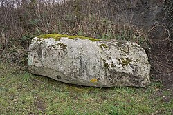 Image illustrative de l’article Menhir du Puy de la Poix