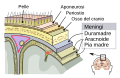 Miniatura della versione delle 08:16, 3 mag 2016