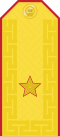 Mongolian Army-BRG-parade