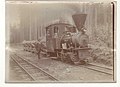 Narrow gauge steam locomotive with V skip waggons