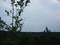 View from the top of the bluff in the Naval Live Oaks, looking south on the rest of the reservation.