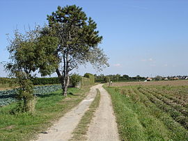 The plateau between the village and the sea