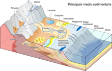 Principals medis sedimentaris