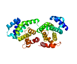 Протеин EIF4G2 PDB 3D3M.png