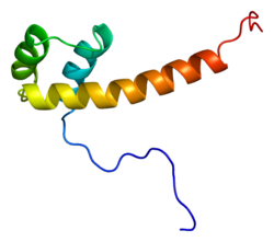 Протеин PAX6 PDB 2cue.png