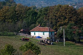 La distillerie de Ručići