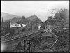 A train on the Blackball Branch's Roa Incline in the mid-20th century