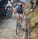 Roger De Vlaeminck på vej op ad Koppenberg-stigningen.