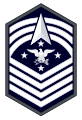SEAC USSF.svg