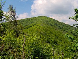 Silers-bald-from-thins1.jpg
