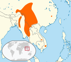 Distribución aproximada del trepador de las Naga en el Sudeste Asiático.