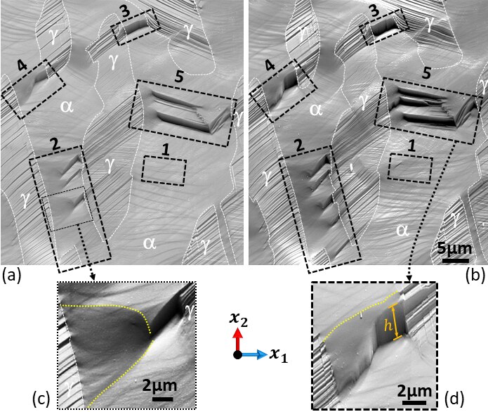 File:Slip band DSS.tif