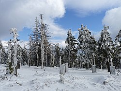 Sněžná kotlina (únor 2014)