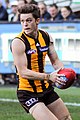 Taylor Duryea, Hawthorn premiership player is from Corowa