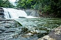 Thommankuthu water falls.jpg