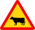 230: Cattle or livestock animals