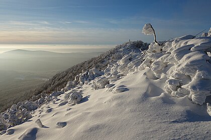 Inverno no cume Vihorlat (1 076 m), a montanha mais alta das Montanhas Vihorlat, Eslováquia. Vihorlat é uma cordilheira vulcânica no leste da Eslováquia e oeste da Ucrânia. Uma parte da cordilheira está listada como Patrimônio da Humanidade. A parte eslovaca tem 55 km de comprimento, até 11 km de largura e de 400 a 1 076 m de altura. Pertence ao grupo da área de Vihorlat-Gutin das montanhas dos Cárpatos orientais internos. A parte central das montanhas é protegida pela Área de Paisagem Protegida de Vihorlat. (definição 5 363 × 3 576)