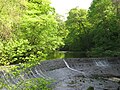 Water of Leith at Colinton Dell