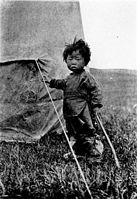 Young mongolia, Across Mongolian plains; a naturalist's account of China's „great northwest“, 1921