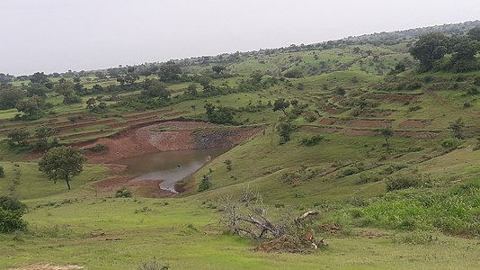 Farm pond filled with water